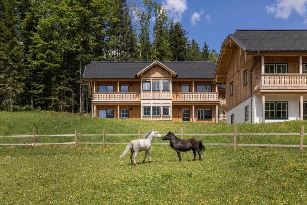 Narzissendorf Zloam Hotel Grundlsee Exteriör bild